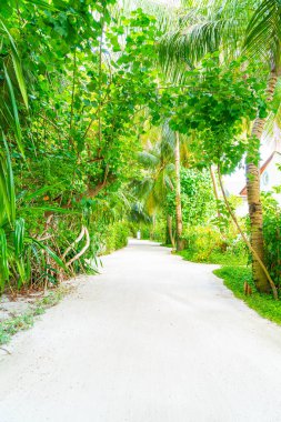 ağaç kemer ile boş yürüyüş yolu