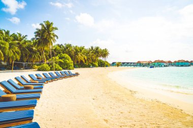 tropikal Maldivler Adası plaj ve deniz ile plaj sandalyesi
