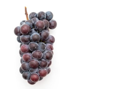 beyaz arka planda taze siyah üzüm