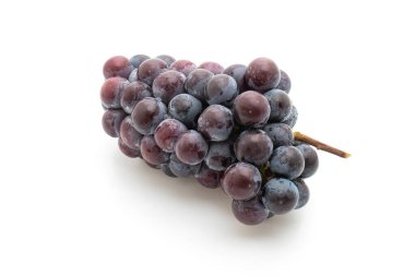 beyaz arka planda taze siyah üzüm