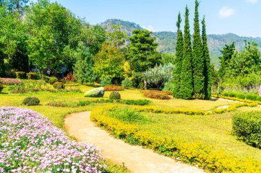 güzel Bahçe park dağ Chiang Mai, Tayland