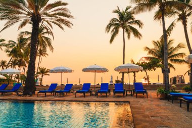 Şemsiye sandalyeli güzel palmiye ağacı gündoğumunda lüks otel tatil beldesinde - tatil ve tatil konsepti