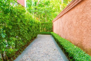 Ağaç ve turuncu duvarlı boş yürüyüş yolu