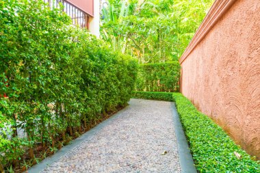 Ağaç ve turuncu duvarlı boş yürüyüş yolu