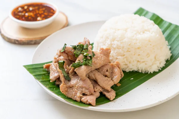 Nasi Dengan Daging Babi Panggang Gaya Makanan Asia — Stok Foto