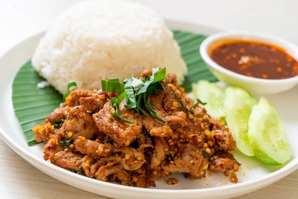 Würzig Gegrilltes Schweinefleisch Mit Reis Und Würziger Sauce Asiatischen Stil — Stockfoto