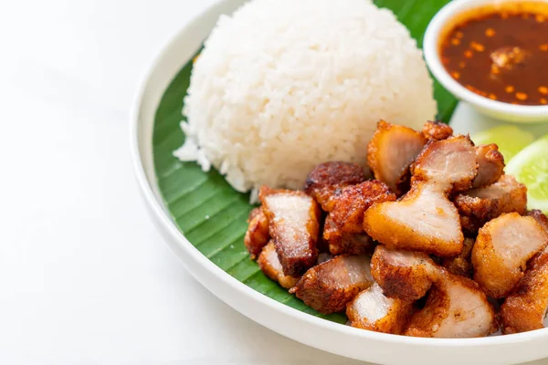 Goreng Perut Babi Dengan Nasi Dengan Saus Pedas Dalam Gaya — Stok Foto