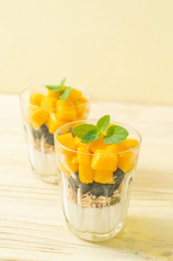 Ev yapımı taze mango ve yoğurt ve granola ile taze yaban mersini. Sağlıklı yemek tarzı.