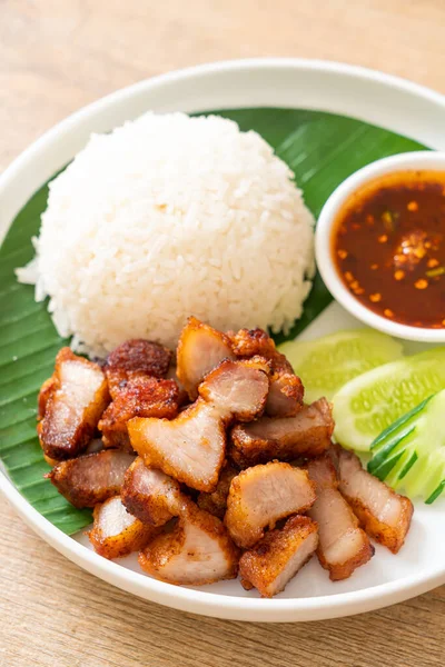 Gebratenes Schweinebauch Mit Reis Mit Würziger Sauce Asiatischen Stil — Stockfoto