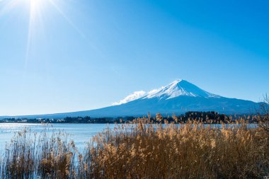 Kawaguchiko Gölü ve Japonya 'da mavi gökyüzü olan güzel Fuji Dağı