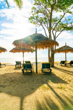 Şemsiye ve sahil sandalyesi Hindistan cevizi palmiyesi ve deniz plajı arka planı ve mavi gökyüzü - tatil ve tatil kavramı