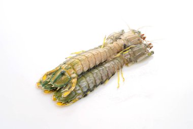 Beyaz arkaplanda taze peygamber devesi karidesi