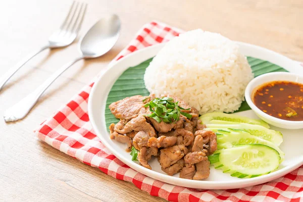 Gegrilltes Schweinefleisch Knoblauch Mit Reis Mit Würziger Sauce Asiatischen Stil — Stockfoto