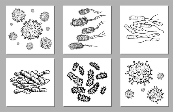 Vector Conjunto de bacterias negras aisladas en backgtound blanco. Microbio en terapia médica. Elemento de enfermedad germinal. Bacteria pintada a mano para el concepto de medicina . — Vector de stock