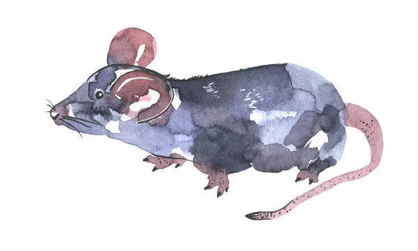 Mouse ilustração aquarela. Ícone engraçado de animal. Rato cinzento com orelhas cor-de-rosa isolado sobre fundo branco. 2020 símbolo de pintura do ano novo. Desenho de objeto de arte para design — Fotografia de Stock