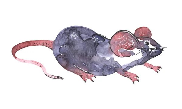 Souris aquarelle illustration. Icône drôle d'animal. Rat gris avec oreilles roses isolées sur fond blanc. 2020 nouvelle année peinture symbole. Dessin objet d'art pour le design — Photo