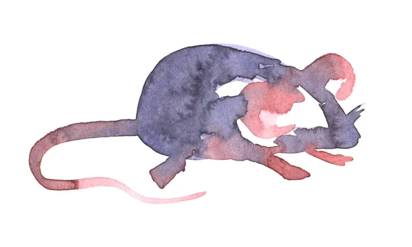 Mouse ilustração aquarela. Ícone engraçado de animal. Rato cinzento com orelhas cor-de-rosa isolado sobre fundo branco. 2020 símbolo de pintura do ano novo. Desenho de objeto de arte para design — Fotografia de Stock