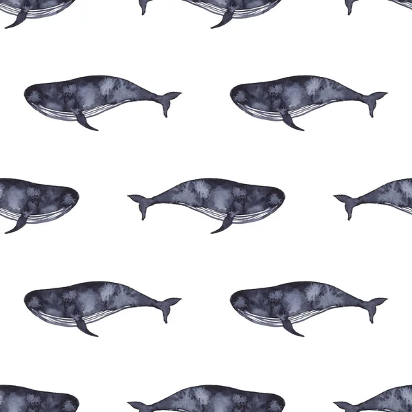 Ikan paus dalam lukisan warna indigo. Gambar seni cat air. Ikan laut warna biru. Binatang laut. Pola mulus untuk kain, tekstil, latar belakang, dekorasi ilustrasi anak. elemen siluet untuk desain — Stok Foto