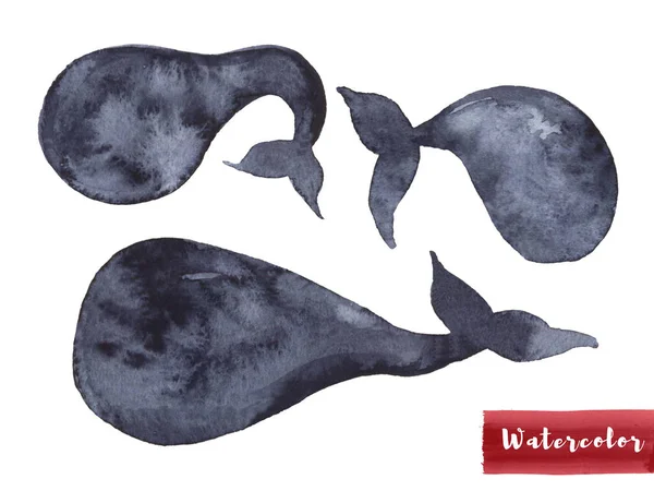 藍染めの鯨。水彩画のドローイング。海の魚の青い色。海洋動物。生地、織物、背景、シルエットの子供のイラストのための白に隔離されています。設計のためのイルカ要素. — ストック写真