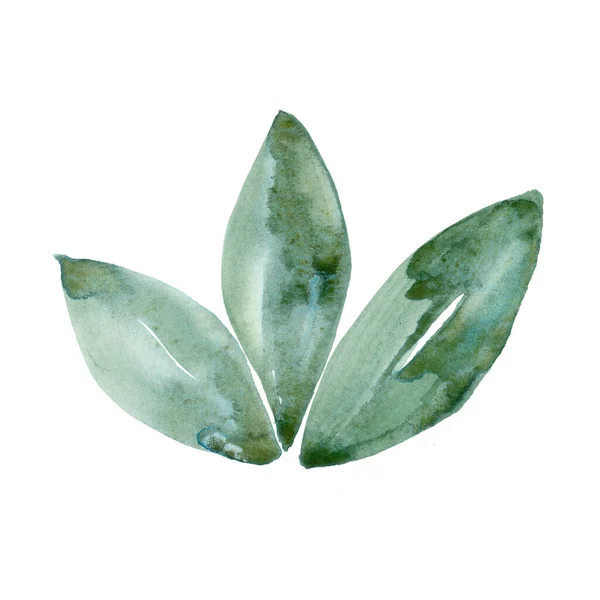 녹색 녹색 잎 자연 생태계 상징은 흰색 배경에 분리되어 있다. 손으로 그림을 그리는 것입니다. 인쇄, 질감, 벽지 또는 에코 요소를 위해 말이죠. 아름다운 수채화 공예 — 스톡 사진