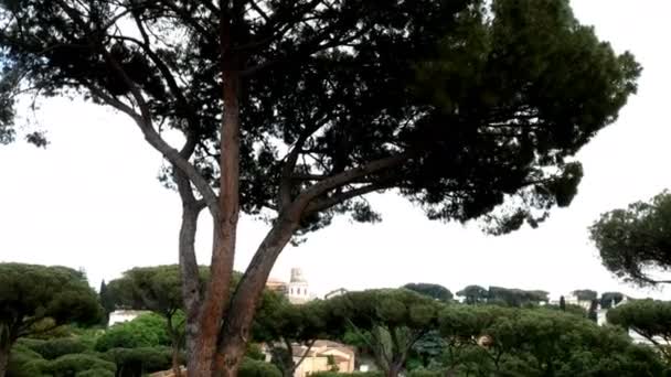 Oude borstbeelden van Romeinse keizers, ancient Rome Italy — Stockvideo