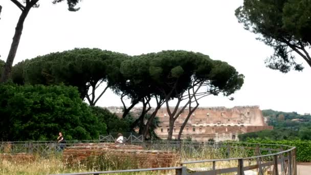 View on the colosseum, from the Avventino in all its splendor — Stock Video
