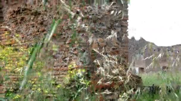 Πλάνο παρακολούθησης από το σιτάρι προς τα ερείπια της Avventino, στο κέντρο της Ρώμης — Αρχείο Βίντεο