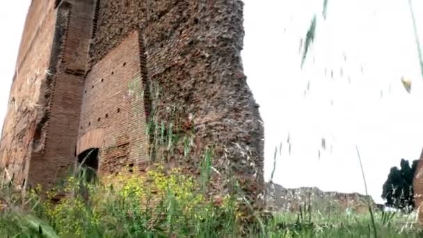 Shot śledzenia z pszenicy w kierunku ruin Avventino, w centrum Rzymu — Wideo stockowe