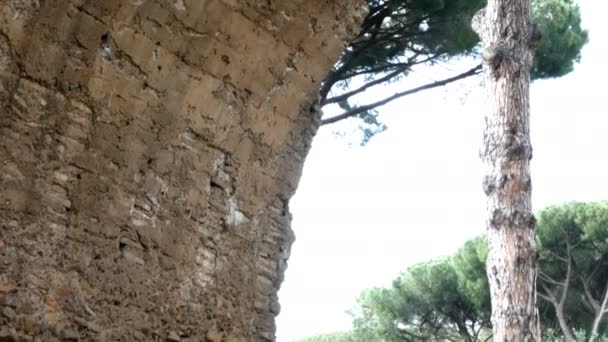 Kamerafahrt auf einem kleinen Bogen in den Ruinen von Avventino, im Zentrum von Rom — Stockvideo
