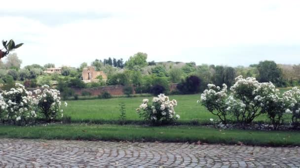 Tracking shot on the villa of Maxentius, ancient Appia — Stock Video