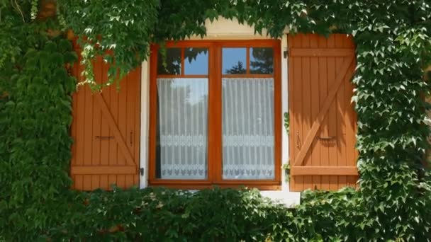 法国常春藤覆盖的一个典型的德府窗口 — 图库视频影像
