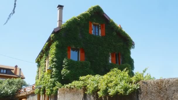 Tipica casa ricoperta d'edera ad Annecy, Francia — Video Stock