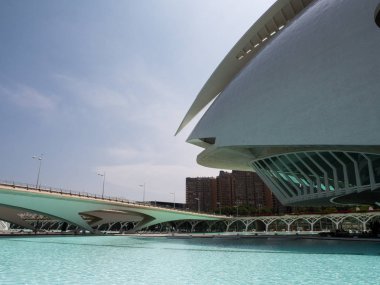 Şehir Sanat ve bilim, mimar Santiago Calatrava Valencia, İspanya tarafından tasarlanan
