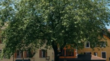 Çan Kulesi, Annecy Fransa ağacından izleme kurşun yarası