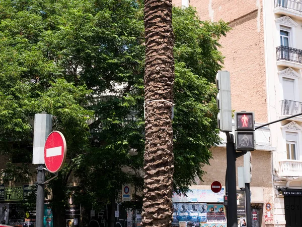 Palmiye ağaçları yakınındaki bir ana yol Valencia, İspanya — Stok fotoğraf