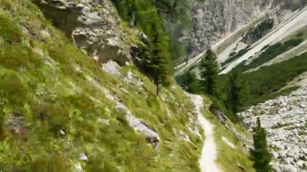 Passeggiata iperlapidea nelle dolomiti — Video Stock