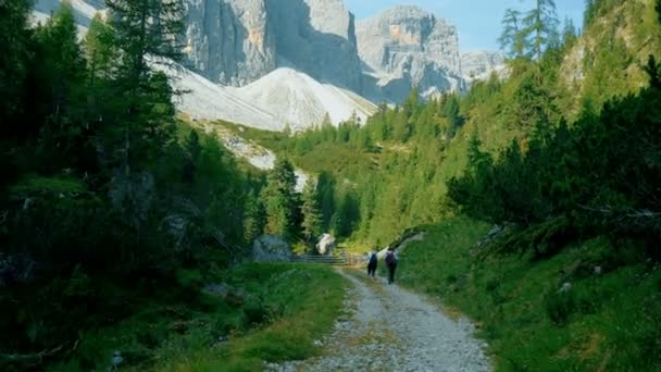 Wandelaars komen te voet in de buurt van een hedge in de Dolomieten — Stockvideo