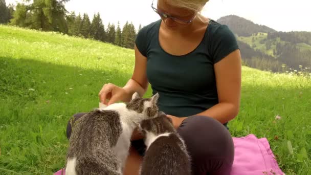 Chica rubia lee un libro con un gatito en una hierba verde — Vídeo de stock