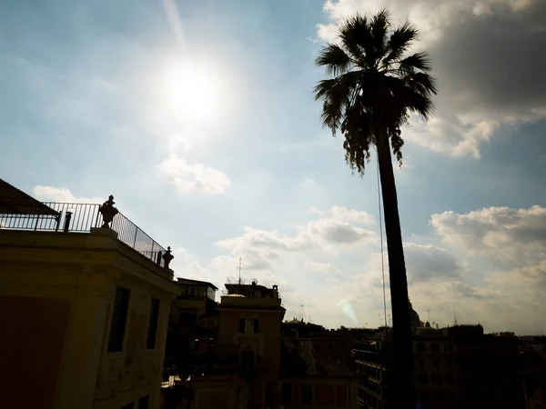 Силуэт пальмы на площади Пьяцца ди Spagna Рим — стоковое фото