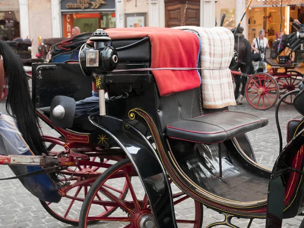 Horse and typical carriage that transports tourists to Rome — Stock Photo, Image