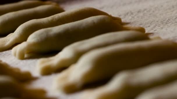 Tracking shot på en fylld yta av ravioli med spenat och ricotta handgjorda redo att tillagas i kokande vatten, typisk sydtyrolsk recept — Stockvideo