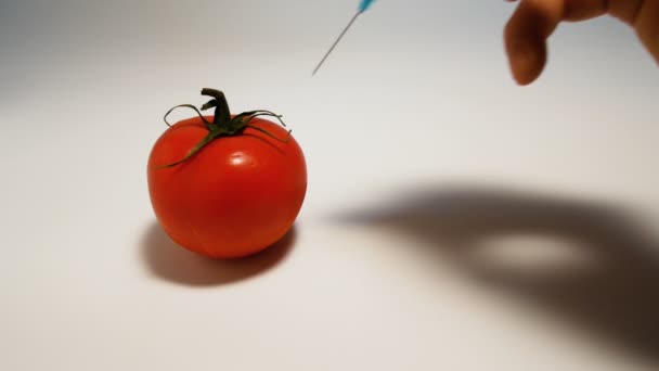 Hand injecteert een spuit met groene vloeibare GGO in een tomaat op een witte achtergrond — Stockvideo