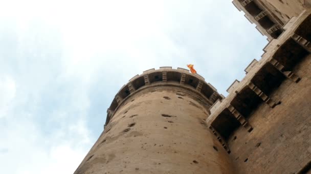 Torres de Quart, portas da muralha cristã medieval de Valência . — Vídeo de Stock