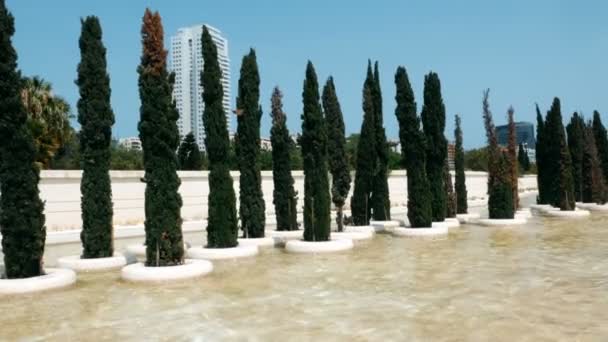 Suivi tourné sur les arbres près de la ville de la science et de l'art à Valence — Video