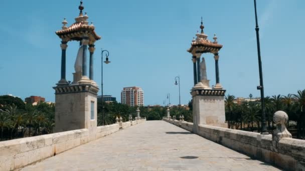 Pov walking over the bridge of the Turia gardens in Valencia. — 图库视频影像