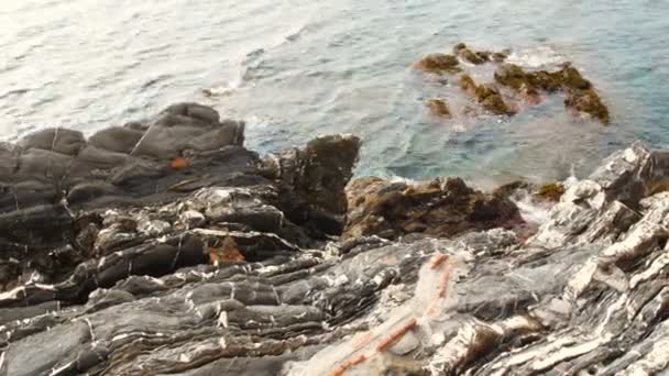 Uitzicht op de rustige Ligurische Zee, Genua Nervi gebied, een van de mooiste plekjes in Ligurië — Stockvideo