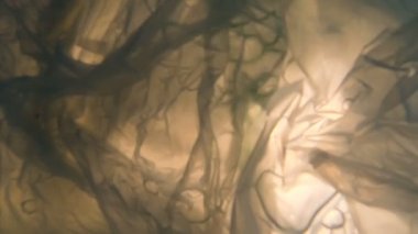 Sualtı görünümü, şişe ve suya, Deniz kirliliği, ekoloji sorunları göstermek için ideal görüntüleri atılan tek kullanımlık plastik torbalar