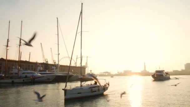 Barca a vela al tramonto nell'antico porto di Genova, gabbiani che volano nel cielo — Video Stock