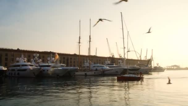 Sailboat at sunset in the ancient port of Genoa, seagulls flying in the sky — Stock Video
