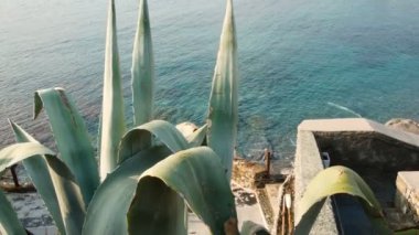 kaktüs beach Nervi, Ligurya Denizi Bahar, panoramik bir görünümünü Genoa üzerinde